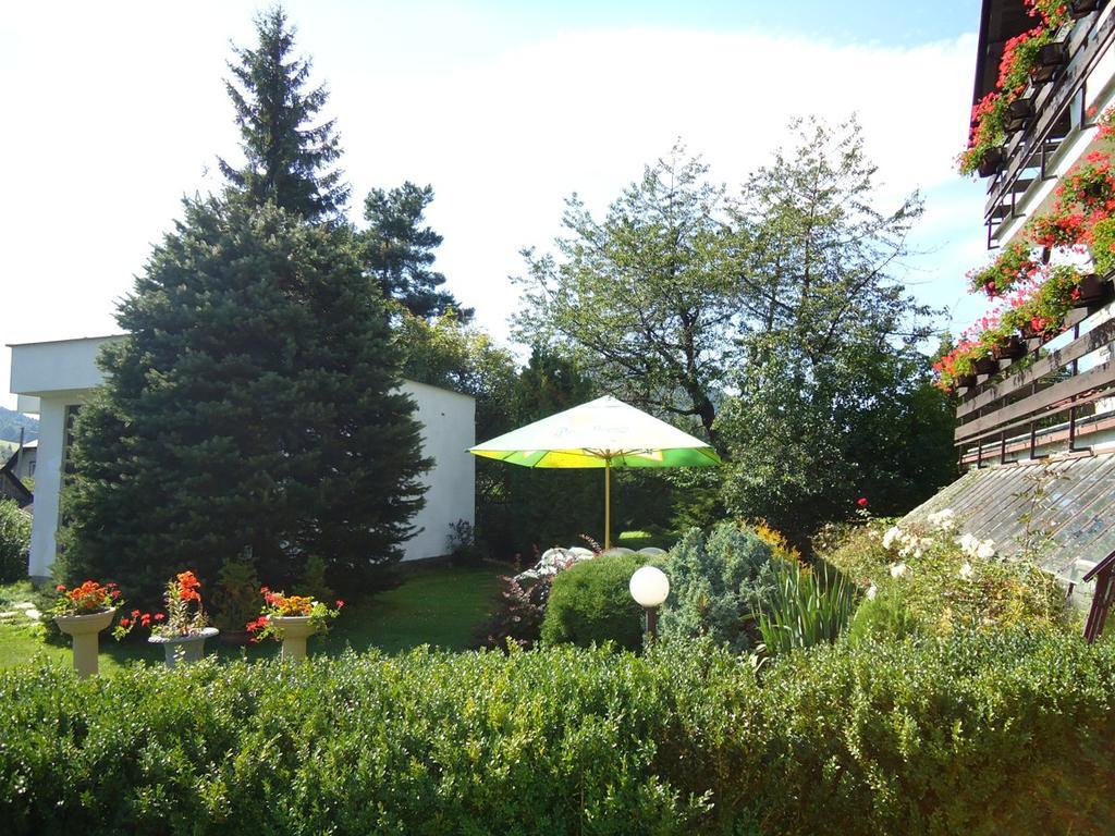Pension Dana Vrbno pod Pradědem Exteriér fotografie
